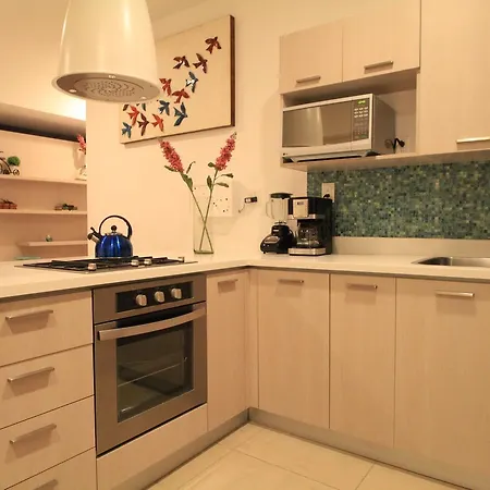 Apartment Down Town 203 -
